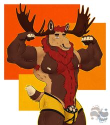 anthro antlers barazoku belly biceps body_hair boxers_(clothing) briefs bulge cervine clothing flexing fur furry happy_trail horn male male_only mammal mane moose muscular nipples piercing sharpiesabre solo spots underwear