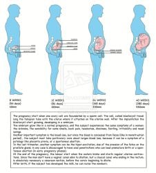 male_pregnancy mpreg pregnant pregnant_male tagme x-ray