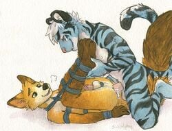 anal anal_sex anthro balls bondage bound canine cum cum_in_ass cum_inside erection feline fox gay lying male male_only mammal nude on_back penetration penis restrained sicklyhypnos tiger yaoi