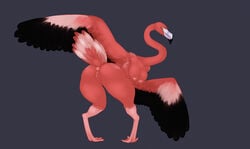 2017 anthro anus areola ass avian beak big_breasts big_butt bird breasts feathered_wings feathers female flamingo huge_butt long_neck looking_back non-mammal_breasts nude pussy sanfingulipunrapin solo thick_thighs voluptuous wings