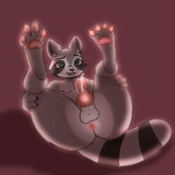 animal_genitalia animal_penis dog_penis femboy first_time furry furry_male green_eyes paws penis precum raccoon virgin