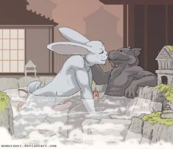 2boys bath bathing erection gay hot_spring imminent_sex lagomorph male mammal master_splinter momorawrr no_humans onsen rabbit rat rodent splinter teenage_mutant_ninja_turtles usagi_yojimbo water yaoi