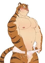 blush clothing colored feline fur furry looking_at_viewer male male_only mammal manya muscular simple_background solo tiger underwear white_background