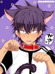 1boy animal_ears blush catboy collar leash looking_at_viewer male male_only sakuraprin sweat