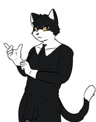1boy 1male anthro black_fur furry furry_male furry_only gloves gloves_(marking) humanoid male northwoooof solo solo_focus suit suit_and_tie tuxedo tuxedo_cat yellow_eyes