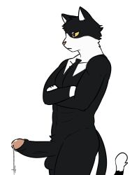 1boy 1male anthro black_fur dripping dripping_cum dripping_penis dripping_semen furry furry_male furry_only gloves gloves_(marking) humanoid male northwoooof penis side_view solo solo_focus suit suit_and_tie tuxedo tuxedo_cat yellow_eyes