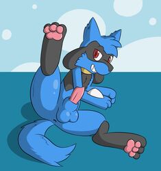 animal_genitalia anus ass balls fur furry furry_only gay male male_only nintendo penis pokemon presenting presenting_hindquarters raised_leg riolu rvlis sheath video_games yaoi