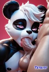 ai_generated animal_ears animal_humanoid anthro anthro_penetrated big_balls big_penis black_fur blowjob blowjob_face cute cute_face deep_blowjob femboy_focus femboysub gay gay_blowjob gay_sex girly girly_boy human human_male human_on_anthro humanoid humanoid_penetrated light-skinned_male male_on_anthro male_on_femboy male_penetrating panda panda_ears pink_eyes tetriss white_fur white_hair