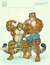 2016 abs anthro areola balls benji_(character) big_balls big_penis blue_eyes bulge closed_eyes clothing clouded_leopard ear_piercing erection feline flexing fondling grin hyper hyper_muscles mainlion male male_only mammal markings muscle_worship muscular muscular_male nipples pecs penis penis_shaped_bulge piercing shorts simple_background sitting smile thick_thighs tiger underwear