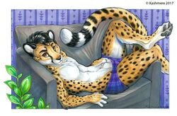 2017 4_toes 5_fingers anthro barefoot black_hair black_spots brown_eyes cheetah clothed clothing detailed_background digitigrade feline fur hair kashmere lying male mammal pawpads slit smile solo spots spotted_fur toes topless