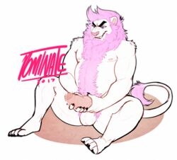 anthro balls dominate_(artist) erection feline knot lion male male_only mammal masturbation mature_male musclegut nipples penis pubes sitting smile solo uncut