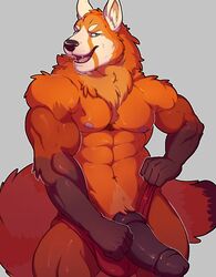 2017 abs aery animal_genitalia anthro anthro_only arm_tuft biceps big_penis black_nose black_penis body_hair brown_fur brown_skin brown_tail canine chest_hair chest_tuft clothed clothing erection fluffy fluffy_tail front_view fur fur_tuft furry grey_background hybrid knot knuxlight long_tail looking_at_viewer male male_only mammal manly multicolored_fur multicolored_skin multicolored_tail muscular muscular_male nipples no_humans open_mouth orange_fur orange_skin orange_tail partially_clothed pecs penis pink_tongue pose pubes red_panda simple_background solo standing teeth thick_penis thick_tail thick_thighs tongue tuft two_tone_fur two_tone_skin underwear were werewolf white_skin white_tail