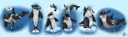 2021 absurd_res aquatic black_body black_fin black_tail blue_background burping cetacean dolphin dolphin_tail dorsal_fin duo english_text female feral feral_pred feral_prey fin flippin-rad genitals head_first hi_res male male/female mammal oceanic_dolphin oral_vore orca sequence simple_background stripes tail text throwing_character toothed_whale underwater vore vulva water watermark white_stripes