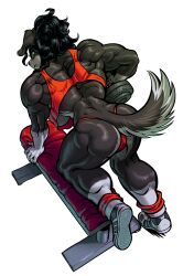 anthro ass big_breasts big_butt breasts canine dark_fur exercising female hair muscular muscular_body muscular_female smooth_body sweat tilingart vani_(filut) vani_rasiak weight_lifting weights