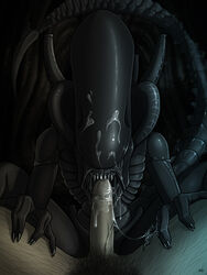 2017 alien alien/human alien_(franchise) ambiguous_gender cum erection fellatio female_xenomorph hi_res highres human human_on_humanoid humanoid interspecies male mammal netherwulf oral penis sex trusting xenomorph