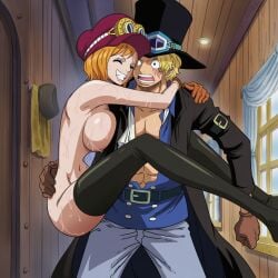koala (one piece) from one piece