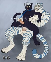 abdominal_bulge anal anal_orgasm anal_penetration animal_genitalia anthro anthro_on_anthro anthro_penetrated anthro_penetrating anthro_penetrating_anthro balls bared_teeth black_balls black_body black_fur black_sheath bodily_fluids cheek_tuft chest_tuft cum cum_in_ass cum_inside cum_splatter cumshot domestic_cat duo ejaculation erection eye_roll eyes_closed facial_tuft fangs felid feline felis fur genital_fluids genitals glans grey_background hands-free hi_res hufnaar humanoid_genitalia humanoid_penis hybrid_genitalia hybrid_penis looking_up male male/male male_anthro male_penetrated male_penetrating male_penetrating_male mammal markings muscular muscular_anthro muscular_male no_sclera nude open_mouth orgasm pantherine pecs penetration penile penile_penetration penis penis_in_ass pink_nose pipe sex sheath sheathed_humanoid_penis simple_background size_difference slim_anthro slim_male spread_legs spreading striped_arms striped_legs striped_markings striped_tail stripes sweat sweatdrop tail tail_markings teeth tiger tuft whiskers white_balls white_body white_fur white_sheath yellow_eyes