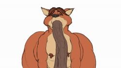 animal_genitalia animal_penis animated anthro ass belly big_ass big_butt big_penis bouncing_ass bouncing_breasts bouncing_butt breasts canid canine disney equid equine equine_genitalia equine_penis erect_nipples erection fellatio fox genitals gideon_grey hohohonse horse male male/male male_with_breasts mammal moobs nipples oral overweight overweight_anthro overweight_male penile penis sex solo zootopia