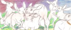 2017 ambiguous_gender colored_pencil feral feral_on_feral group group_sex happy happy_sex hare harem lagomorph mammal orgy queen'smate rabbit sex sketch