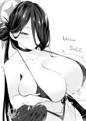 Hasumi (Blue Archive) Rule 34 Image