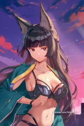 hoshimi miyabi from zenless zone zero by hikari406