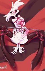 angel_dust_(hazbin_hotel) balls bdsm cock cock_balls hazbin_hotel tagme tied tied_up