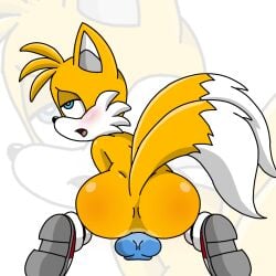 anal ass blue_eyes dildo fox furry gay looking_pleasured shine solo sonic_(series) sonic_the_hedgehog_(series) spanky15 tails tails_the_fox yellow_body yellow_fur