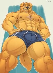 2022 5_fingers abs anthro arley_(arleydog) artist_name biceps big_bulge big_muscles bird_dog black_nose blue_background blue_clothing blue_swimming_trunks blue_swimwear bulge canid canine canis claws clothed clothed_anthro clothed_male clothing deltoids detailed_bulge digital_drawing_(artwork) digital_media_(artwork) domestic_dog eyebrows finger_claws fingerpads fingers floppy_ears fur golden_retriever grin grinning_at_viewer hair hands_on_hips hands_on_own_hips hunting_dog looking_at_viewer looking_down looking_down_at_viewer low-angle_view male male_anthro mammal monotone_body monotone_fur muscular muscular_anthro muscular_male muscular_thighs nipples pawpads pecs portrait quads retriever signature simple_background smile smiling_at_viewer solo swimming_trunks swimwear tail teaselbone teeth text thick_thighs three-quarter_portrait topless topless_anthro topless_male white_claws white_finger_claws yellow_body yellow_fur