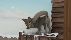 3d_(artwork) absurd_res animal_genitalia anus balcony balls balto_(series) banister canid canine canis digital_media_(artwork) feral feral_only genitals hi_res hybrid male male_only mammal movie_scene presenting presenting_anus redneck_redoubt sheath snow solo universal_studios wolfdog