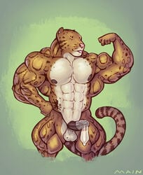 2013 abs anthro areola balls benji_(character) closed_eyes clouded_leopard condom cum ear_piercing feline filled_condom flexing hyper hyper_muscles mainlion male male_only mammal markings muscular muscular_male nipples nude pecs penis piercing simple_background solo tattoo thick_thighs tongue tongue_out