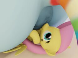 2017 3d anatomically_correct animal animated anus ass equine facesitting female fluttershy_(mlp) friendship_is_magic giantess horse mammal my_little_pony pony puffy puffy_anus pussy rainbow_dash_(mlp) size_difference straight_hair thecomet