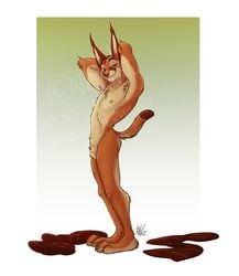 balls caracal clothing erection feet feline invalid_tag kodalynx male male_only mammal nicnak044 paws peaking penis pinup pose smile smirk teeth undressing