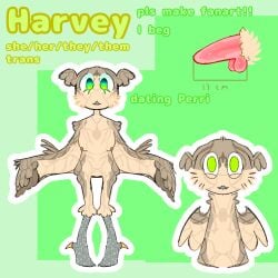 anthro bird character_name colored furry green_eyes nonbinary original_character reference_sheet sprunki sprunki_oc transfem transgender