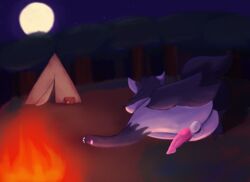 absurd_res balls campfire canid canine digital_media_(artwork) feral forest giautum hi_res male mammal might mightyena nintendo penis pokémon_(species) pokemon solo tree video_games