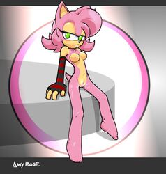 amy_rose beige_skin color female female_only fur furry hedgehog nanojam pink_fur sega skin solo sonic_(series) straight_hair