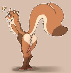 anthro anus balls blush emenius furry furry_only genitals hi_res leaning leaning_forward looking_at_viewer male mammal mustelid musteline penis perineum raised_tail rodent sciurid solo squirrel standing tail tree_squirrel true_musteline weasel