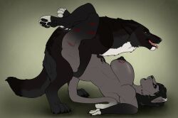anthro anthro_on_feral anthro_penetrated between_legs bite_mark black_body black_fur black_hair black_nipples black_nose black_pawpads canid canine canis dipstick_ears duo ear_markings echo_(wolffylegend) fangs felid female female_anthro female_penetrated feral feral_penetrating feral_penetrating_anthro fur grey_body grey_fur hair hi_res killthe_demon male male/female male_feral male_penetrating male_penetrating_female mammal miasma_velenosa_(miasmium) multicolored_ears nipples nude open_mouth pawpads penetration pink_tongue scratches sex side_view simple_background stomach_bulge teeth tongue white_body white_fur wolf yellow_eyes zoophilia