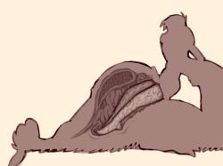 anal anal_sex cloacal cloacal_penetration comic dominant dominant_female duo female feral ginger_(shyguy9) guy_(shyguy9) hi_res human human_on_feral interspecies larger_female larger_feral living_insertion living_insertion_play male male/female mammal meme no_nut_november no_nut_sabotage penetration shyguy9 size_difference smaller_human smaller_male submissive submissive_male x-ray_view zoophilia