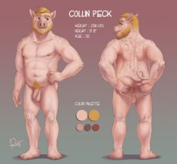 13:12 2019 5_fingers 5_toes anthro anus areola ass backsack balls beard biceps blonde_hair brown_eyes collin_peck color_swatch crotch_tuft domestic_pig english_text facial_hair feet foreskin freckles front_view full-length_portrait hair hand_on_waist hi_res humanoid_feet humanoid_penis looking_at_viewer looking_away male male_only mammal model_sheet multiple_poses musclegut navel nipples nude pecs penis perineum pig_nose portrait pose presenting presenting_anus presenting_hindquarters rear_view rov signature simple_background slightly_chubby smile solo spread_butt spreading standing suid suina sus_(pig) text toes uncut