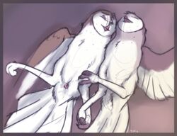 2015 after_sex ambiguous_gender animal_genitalia avian beak bird border cloaca cloaca_juice closed_eyes duo feathered_wings feathers feral lying multicolored_feathers on_back owl presenting presenting_cloaca romantic_couple spread_legs spreading tail_feathers tuke winged_arms wings