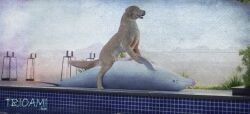 3d_(artwork) animated bird_dog canid canine canine_penis canis cetacean cowgirl_position digital_media_(artwork) dolphin domestic_dog duo feral feral_on_feral from_front_position genitals golden_retriever hunting_dog male male/male mammal marine on_bottom on_top penis pool realistic_feral retriever sex short_playtime toothed_whale trioami260