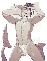 1boy anthro bulge catsudon clothed clothing fish hair looking_at_viewer male male_only marine penis_outline shark smile solo topless wet wet_clothing