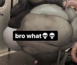 1girls american_opossum anthro ass belly black_hair breasts emoji fat fat_ass fat_belly fat_female female female_focus female_only furry grey_fur hips hyper_ass large_ass large_breasts meme obese obese_female opossum opossum_anthro overweight overweight_female panties pole stomach subway_train thiccomode thick_thighs thighs tiktok_overlay underwear wide_hips