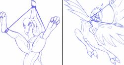 2016 2_toes 2girls 4_toes areola avian bondage bound bow_(weapon) breasts decidueye evilymasterful female female_decidueye female_only flat_chested monochrome multiple_images nintendo nipples owl pokemon pokemon_(species) pokemon_sm pussy ranged_weapon salazzle scalie simple_background sketch solo toes video_games weapon white_background