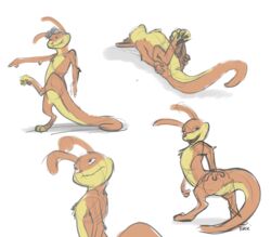 2016 4_toes animal_genitalia anthro anus brown_pawpads daxter eyewear goggles hi_res jak_and_daxter looking_back lying male male_only male_solo mammal multiple_poses mustelid nude on_back ottsel pawpads pose presenting rear_view simple_background sketch solo solo_male standing toeless_(marking) toes tuke video_games white_background