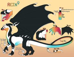 cocodrops_(artist) dragon english_text female feral markings model_sheet multicolored_body multicolored_markings mythological_creature mythological_scalie mythology pawpads rainbow_markings reference_image rein_(shiloh) scalie solo teeth text tongue tongue_out