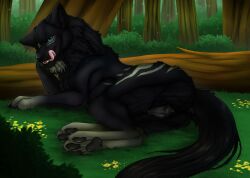 animal_genitalia animal_vulva anus black_anus black_body black_fur black_nose black_pawpads black_tail black_vulva blue_eyes canid canine canine_genitalia canine_vulva english_text fangs female female_feral feral fur genitals glistening glistening_eyes grass grey_markings hi_res killthe_demon licking licking_lips licking_own_lips looking_at_viewer lying mammal markings on_side open_mouth outside pawpads pink_tongue plant pussy shrub solo tail teeth text tongue tongue_out tree vulva