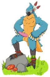 anthro avian bard bird breath_of_the_wild feathers kass kass_(zelda) male male_only nintendo penis pose rito simple_background snootbooper standing the_legend_of_zelda video_games