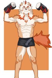 absurd_res anthro arknights big_tail black_nose boxing_gloves canid canine chest_tuft clothed clothed_male clothing fur hair handwear hi_res hung_(arknights) hypergryph jiesheng male mammal muscular muscular_male nipples orange_body orange_eyes orange_fur smile smiling_at_viewer solo standing studio_montagne tail tuft underwear white_body