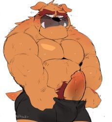 anthro ass bara biceps big_muscles big_penis black_clothing black_nose black_underwear blush bodily_fluids bulge bulldog canid canine canis clothed clothing deltoids domestic_dog dribble_(warioware) embarrassed erection eyebrows floppy_ears flustered flustered_male fur genitals hi_res humanoid_genitalia humanoid_penis hyaku_(artist) male mammal mastiff molosser muscles muscular muscular_anthro muscular_male navel nintendo orange_body orange_fur orange_penis partially_clothed partially_visible_genitals pecs penis pubes red_eyebrows red_pubes sharp_teeth solo sweat tail teeth text thick_eyebrows thick_penis thick_thighs trapezius underwear underwear_down underwear_only warioware yaoi